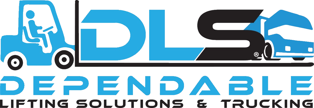 DLS Logo